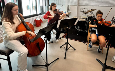 Musika eskolaren izaera